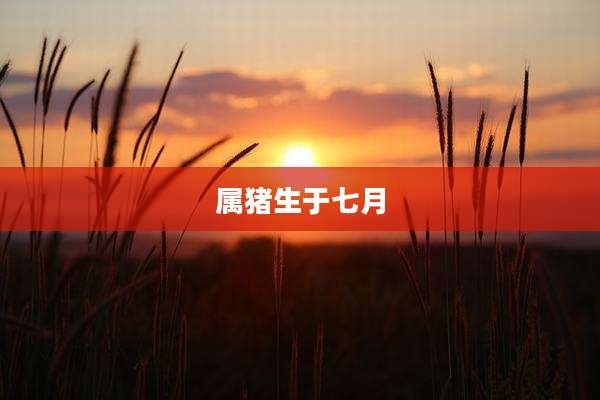 属猪生于七月
