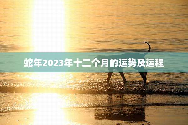 蛇年2023年十二个月的运势及运程