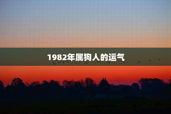 1982年属狗人的运气