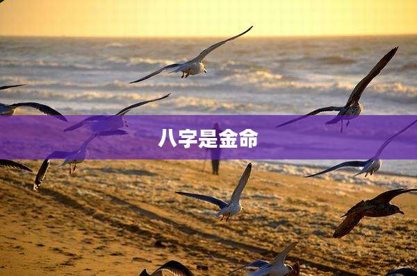 八字是金命