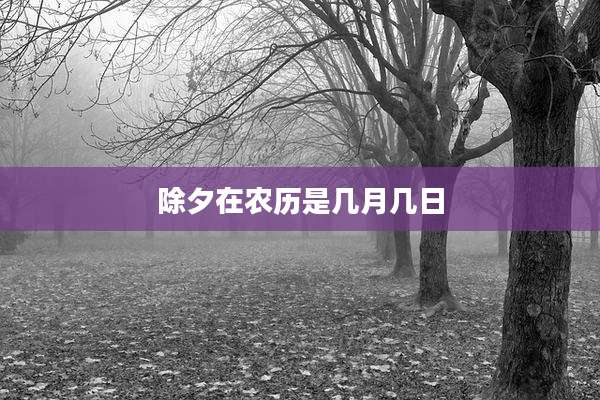 除夕在农历是几月几日