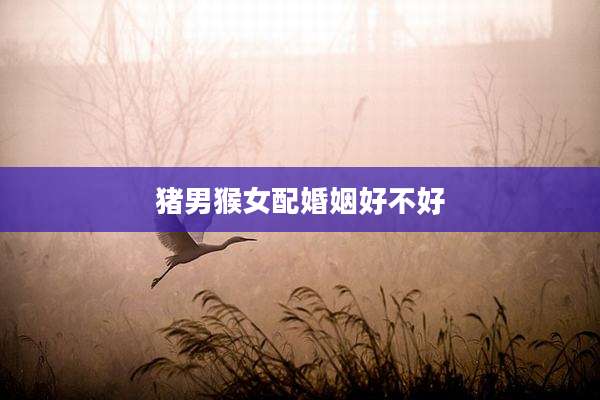 猪男猴女配婚姻好不好
