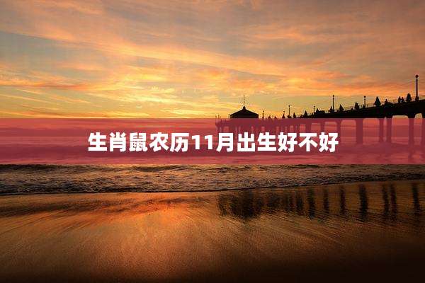 生肖鼠农历11月出生好不好