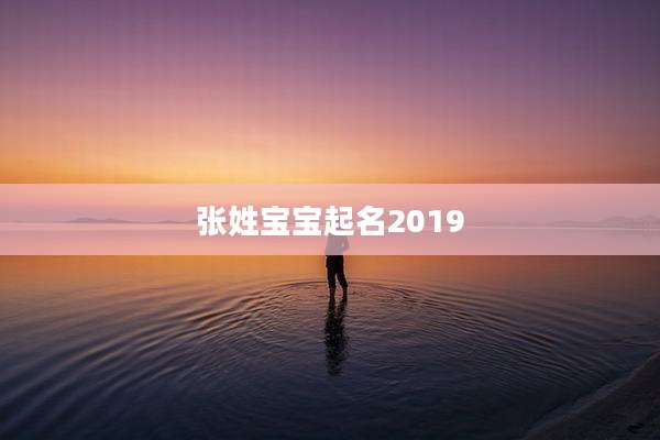 张姓宝宝起名2019