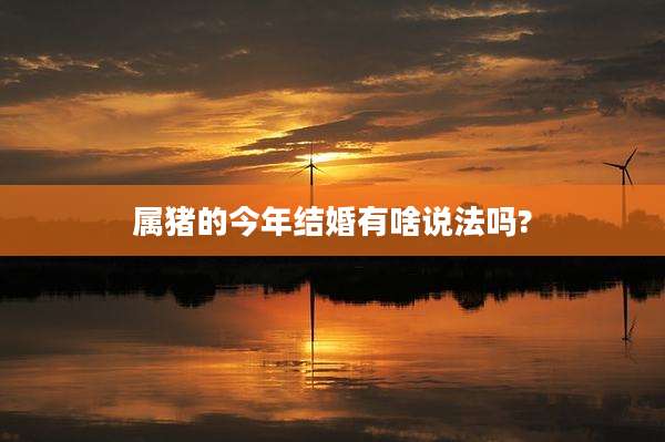 属猪的今年结婚有啥说法吗?