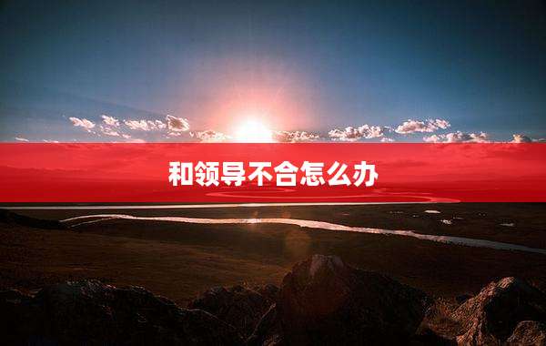 和领导不合怎么办
