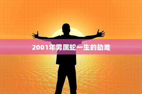 2001年男属蛇一生的劫难