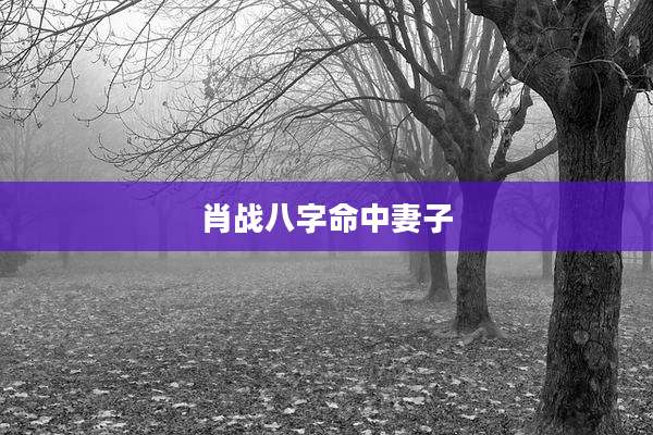 肖战八字命中妻子