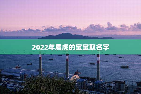 2022年属虎的宝宝取名字