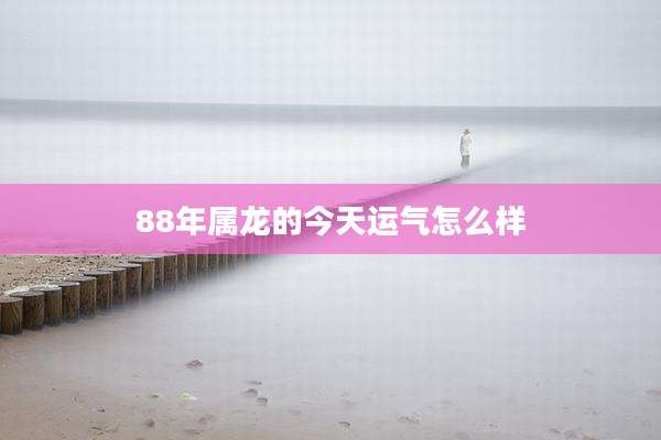 88年属龙的今天运气怎么样