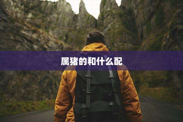 属猪的和什么配