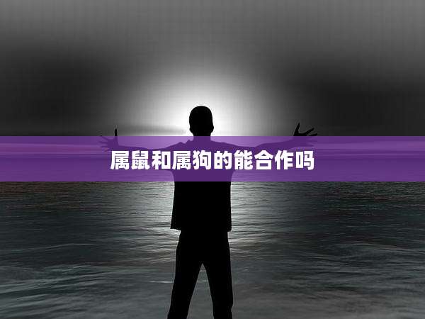 属鼠和属狗的能合作吗