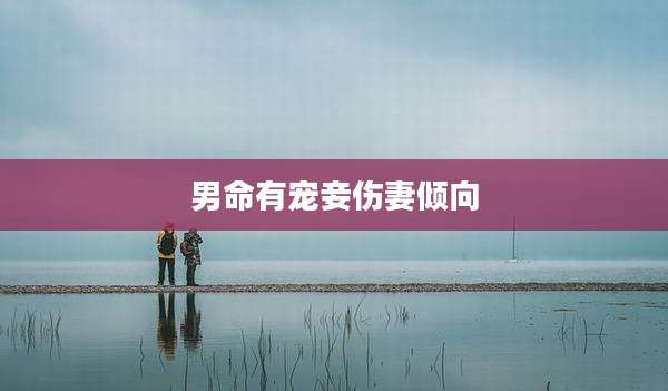 男命有宠妾伤妻倾向