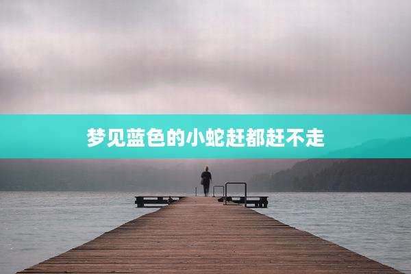 梦见蓝色的小蛇赶都赶不走