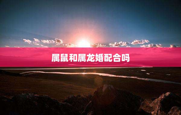 属鼠和属龙婚配合吗