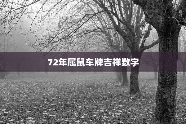 72年属鼠车牌吉祥数字