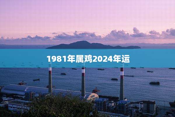 1981年属鸡2024年运