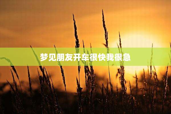 梦见朋友开车很快我很急
