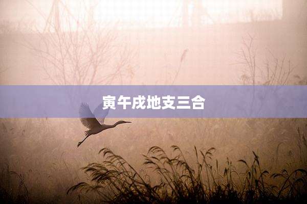 寅午戌地支三合
