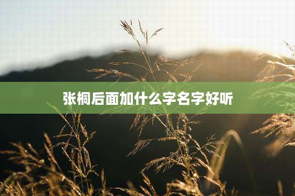 张桐后面加什么字名字好听
