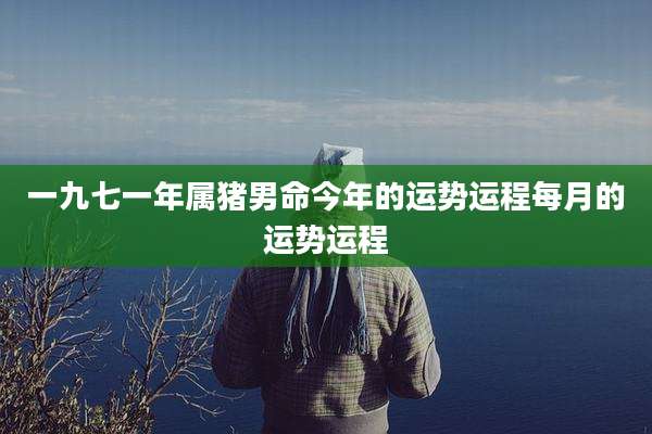 一九七一年属猪男命今年的运势运程每月的运势运程