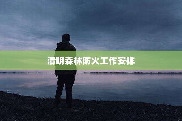 清明森林防火工作安排