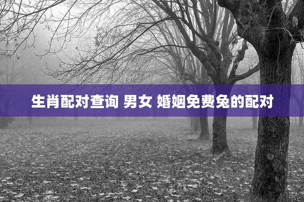 生肖配对查询 男女 婚姻免费兔的配对