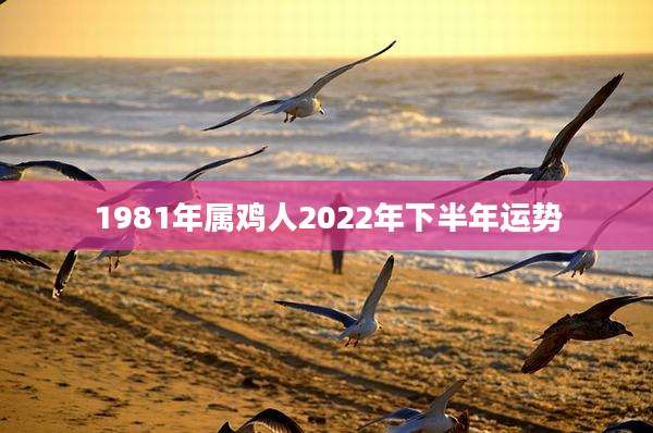1981年属鸡人2022年下半年运势