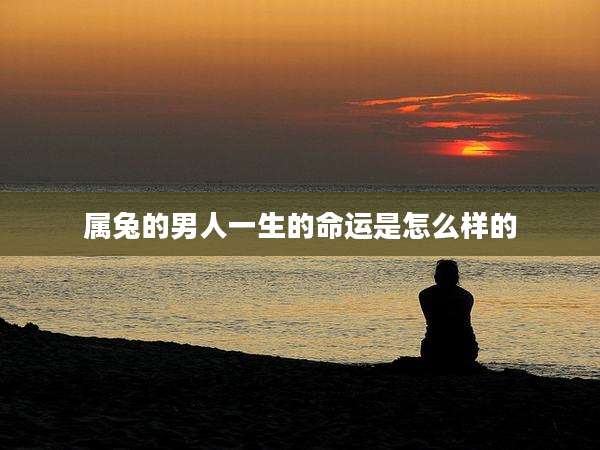 属兔的男人一生的命运是怎么样的