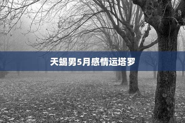 天蝎男5月感情运塔罗