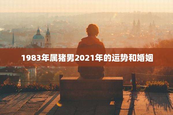 1983年属猪男2021年的运势和婚姻
