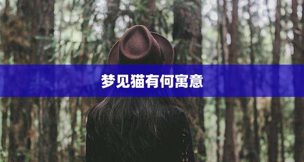 梦见猫有何寓意