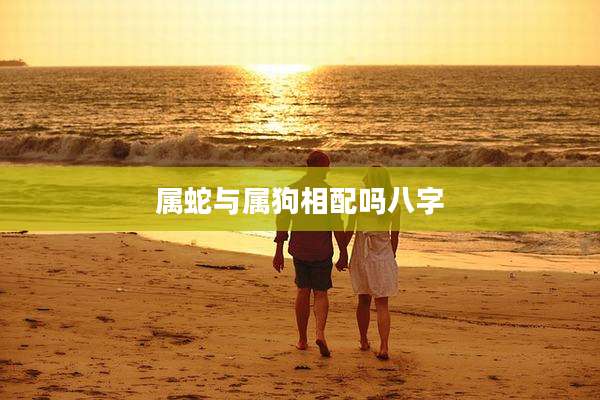 属蛇与属狗相配吗八字