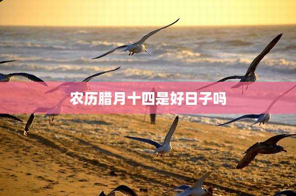 农历腊月十四是好日子吗