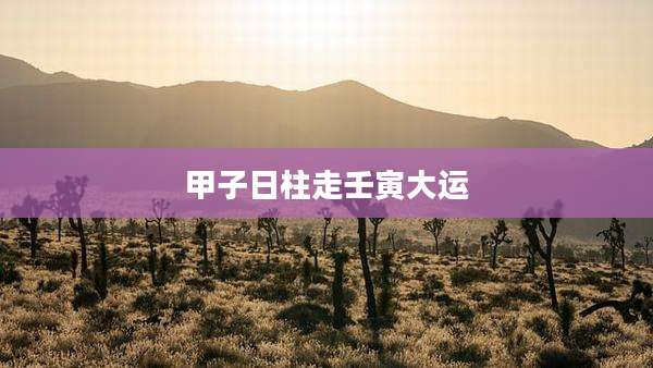 甲子日柱走壬寅大运