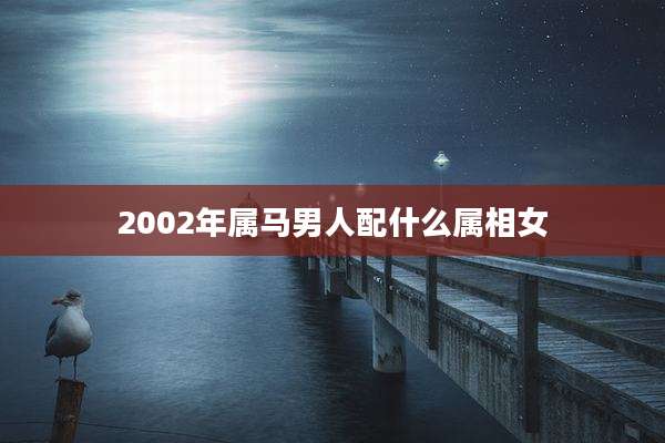 2002年属马男人配什么属相女