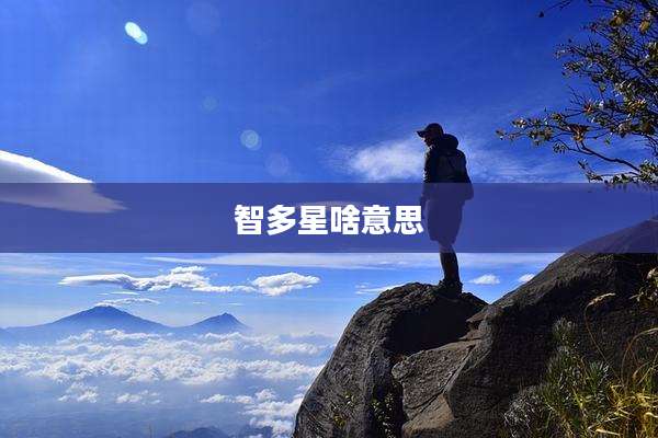 智多星啥意思