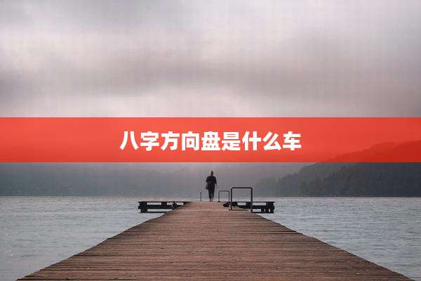 八字方向盘是什么车
