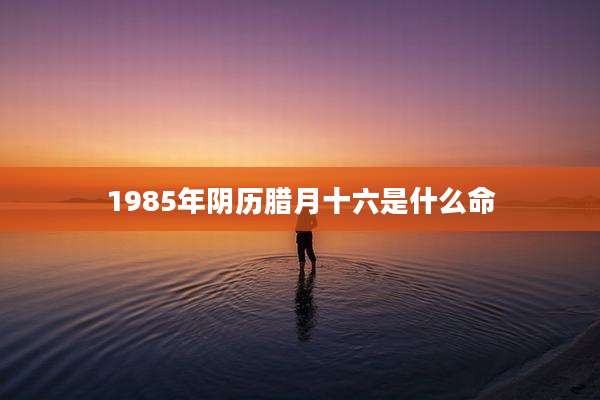 1985年阴历腊月十六是什么命