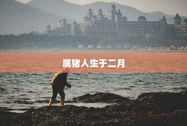 属猪人生于二月