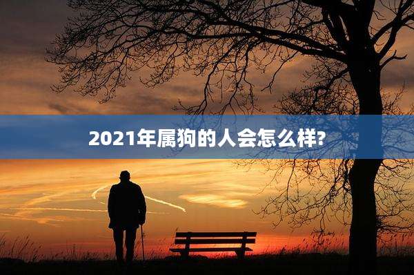 2021年属狗的人会怎么样?