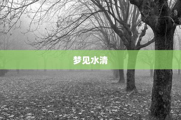 梦见水清