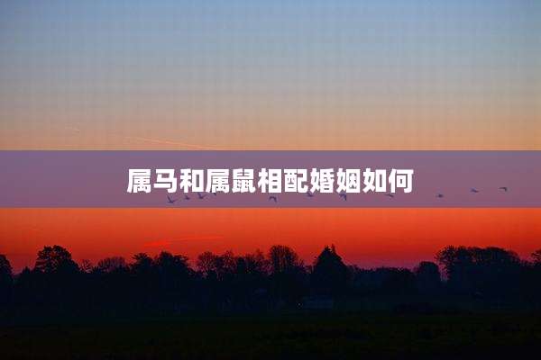 属马和属鼠相配婚姻如何