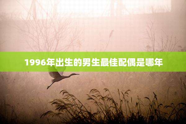 1996年出生的男生最佳配偶是哪年