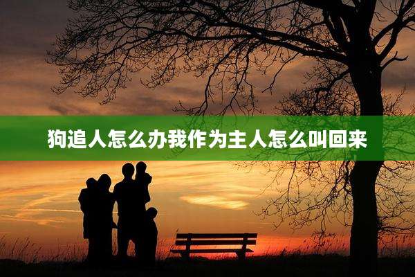 狗追人怎么办我作为主人怎么叫回来