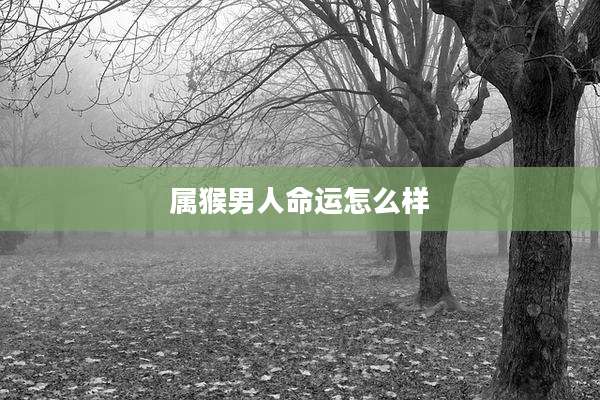 属猴男人命运怎么样