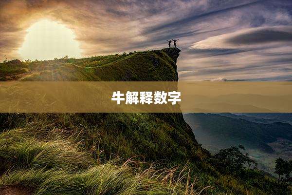 牛解释数字