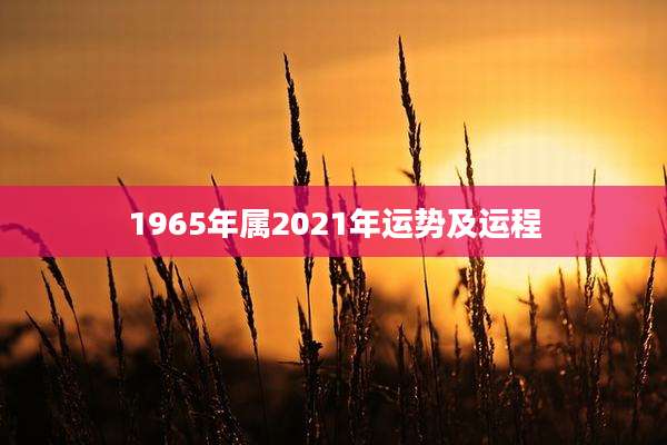 1965年属2021年运势及运程