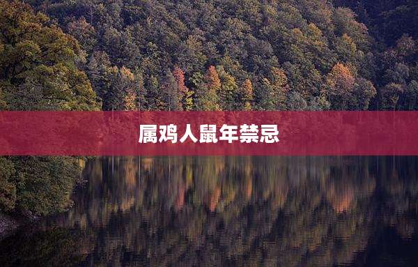 属鸡人鼠年禁忌