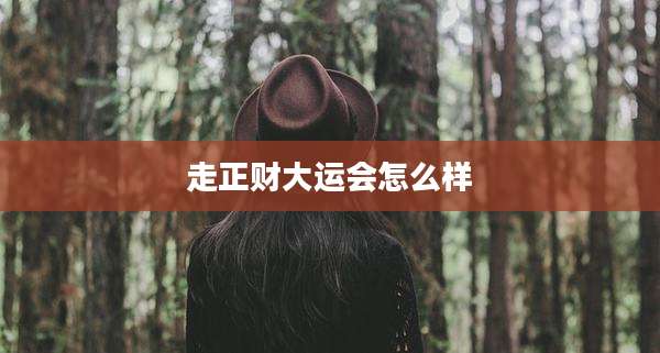 走正财大运会怎么样